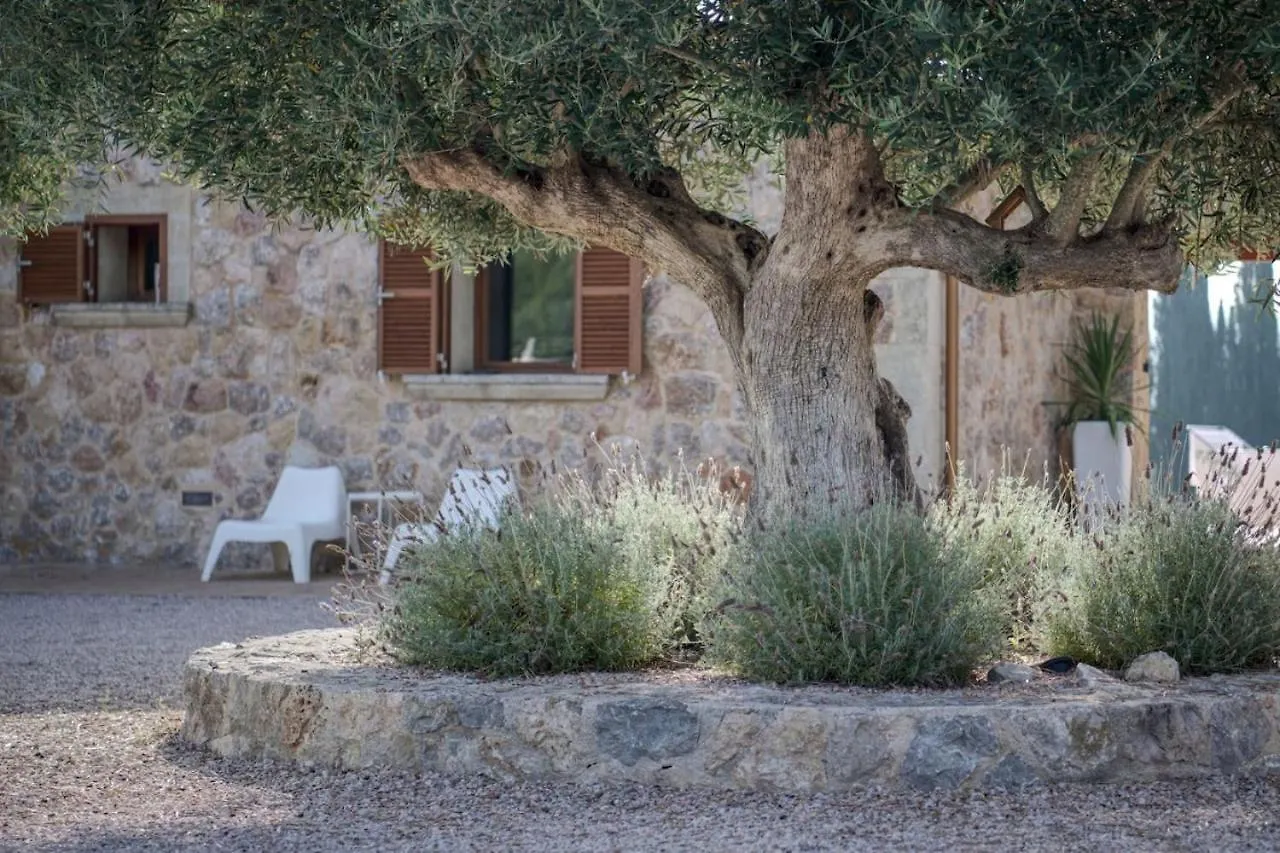 Villa Can Figuera Mallorca Alcudia  Spain